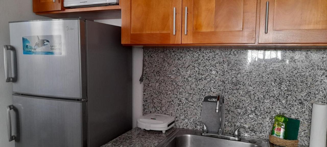 Residencial Palmas De Gurabo Daire Santiago De Los Caballeros Dış mekan fotoğraf